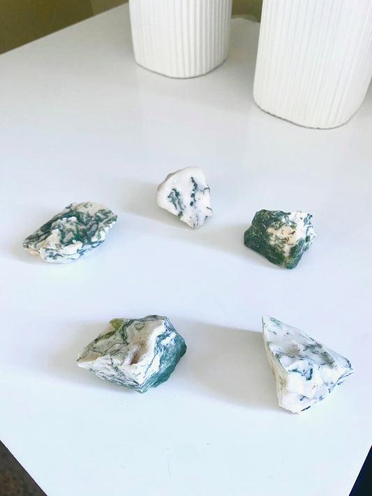 Tree Agate (Connect to Mother Earth, Tree Magic, Ancestral Wisdom)